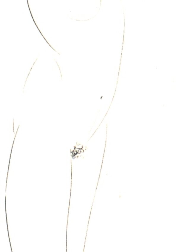 MNR_-_Marcador_2_-_Atelier_Museu_Julio_Pomar