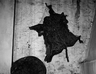 Rien   andr  cepeda   editada 1 600 839