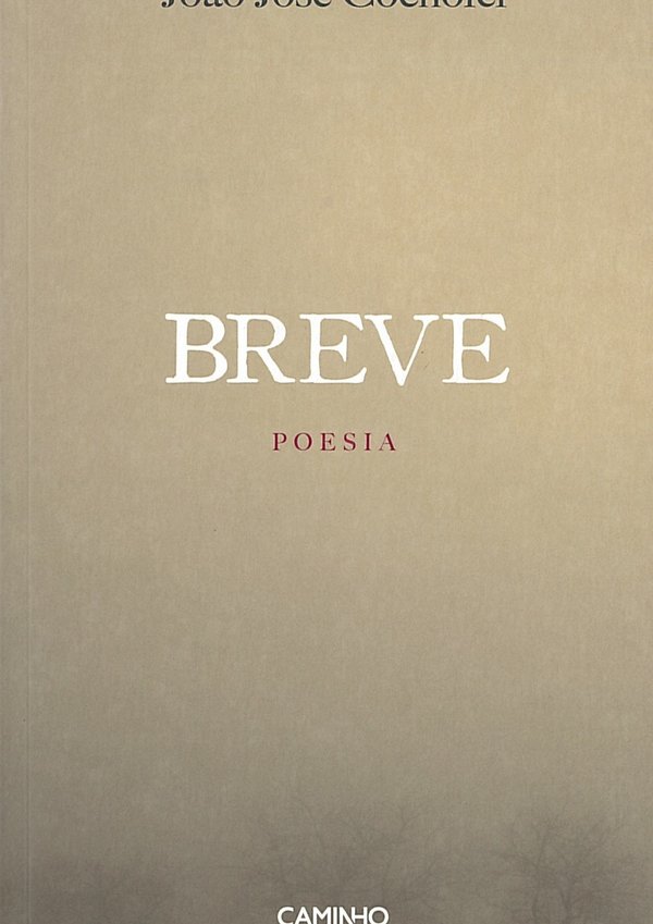 95___breve_poesia