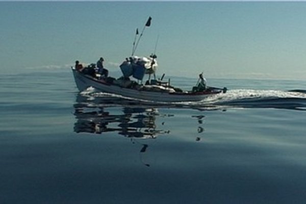 ng3859073
