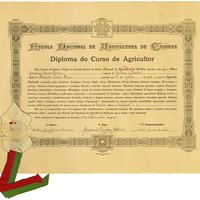 Diploma do Curso de Agricultor, 19 set. 1929