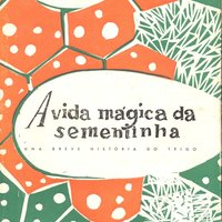  'A vida mágica da sementinha: uma breve história do trigo', il. Rogério Ribeiro, 1956