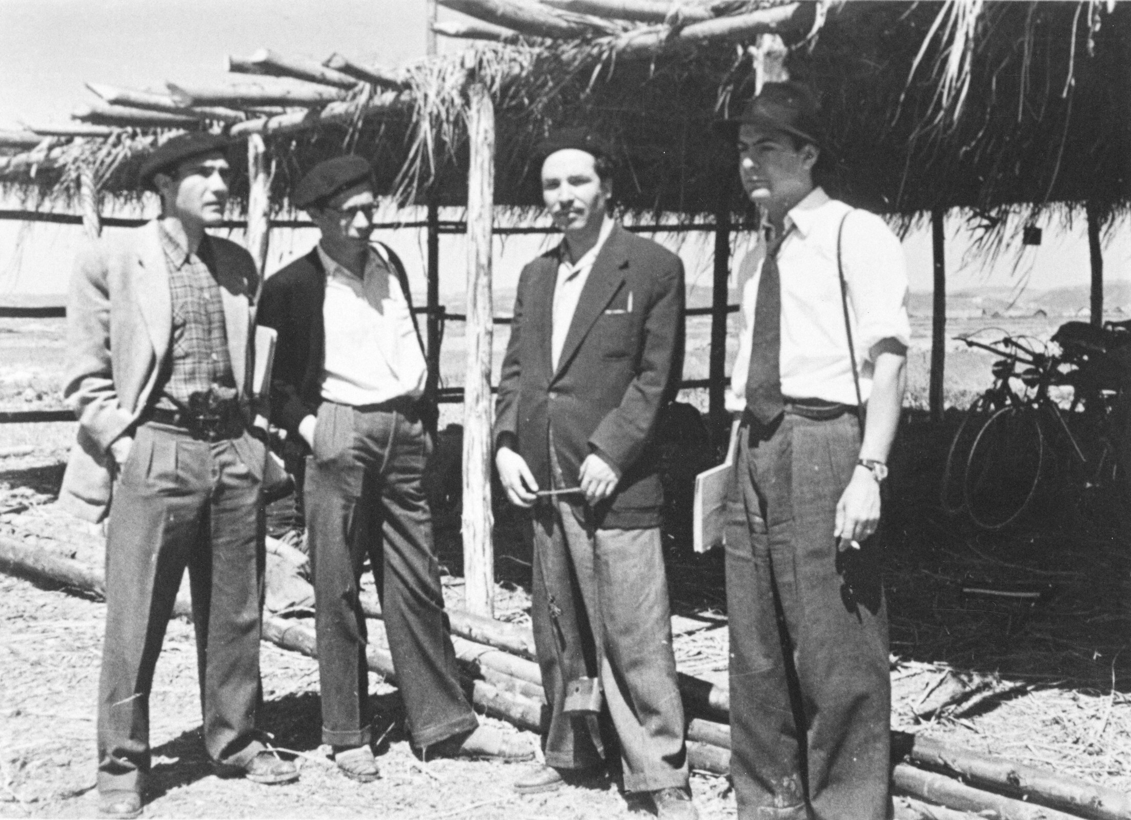 Alves Redol e outros, Ciclos do Arroz