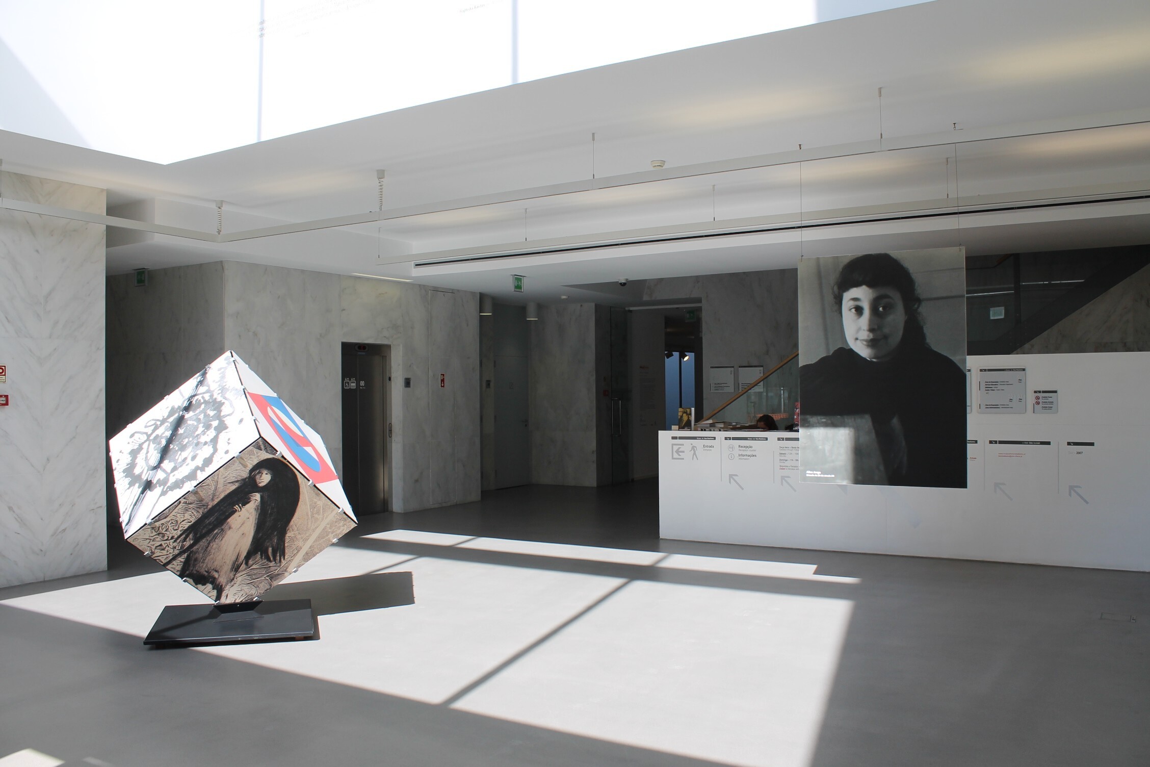 Imagem da exposição Alice Jorge, Traços, Ecos e Revelações