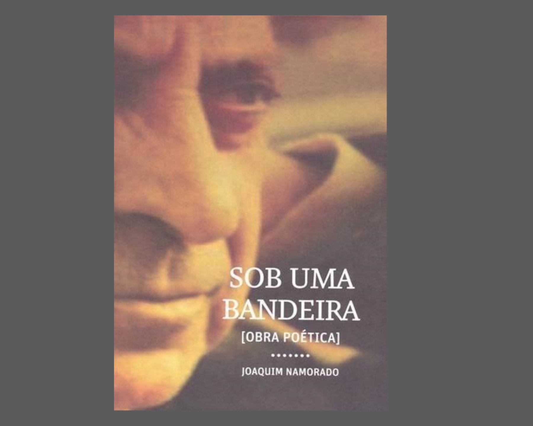 Sob uma Bandeira [Obra Poética]