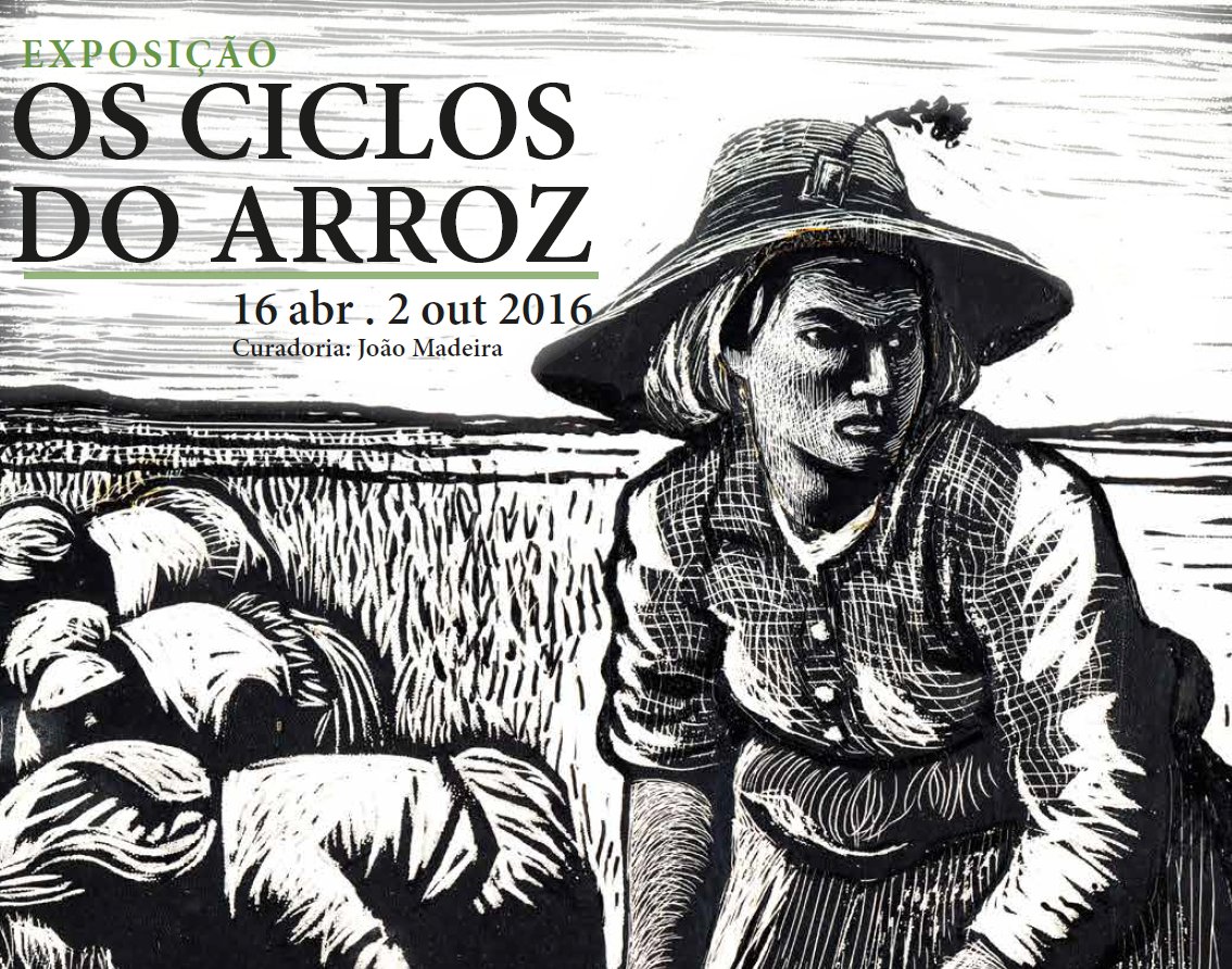 Os Ciclos do Arroz