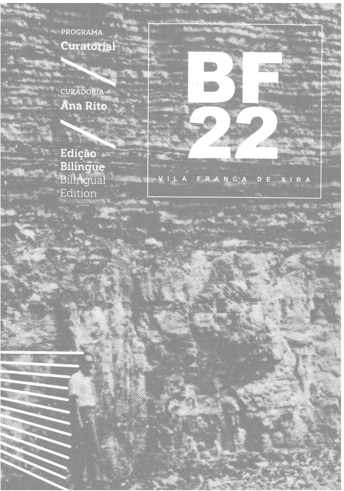 Programa Curatorial BF22 