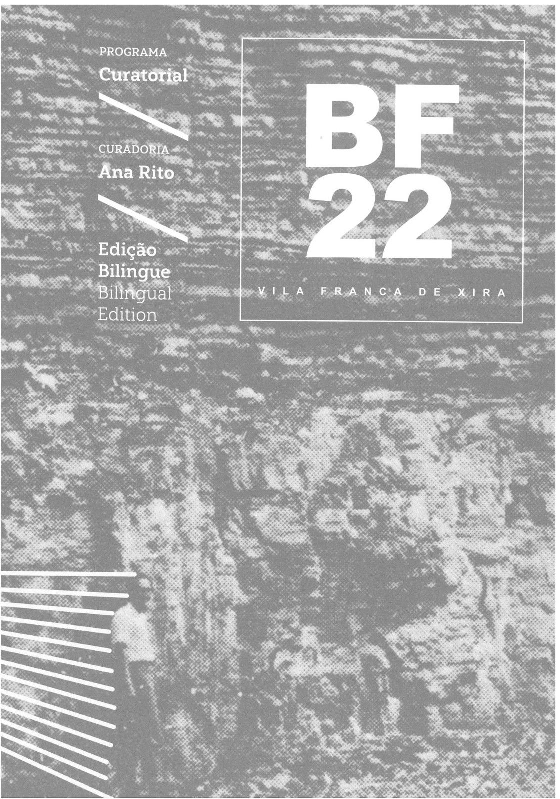 Programa Curatorial BF22 