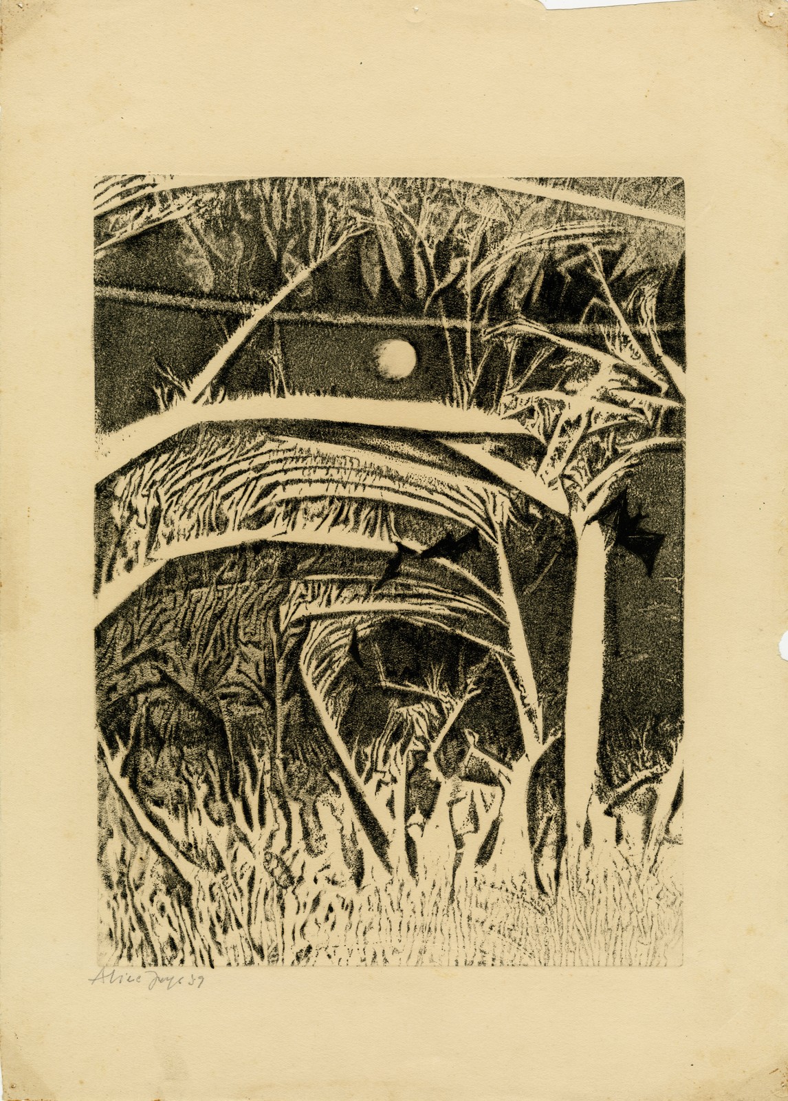 Sem título, 1959