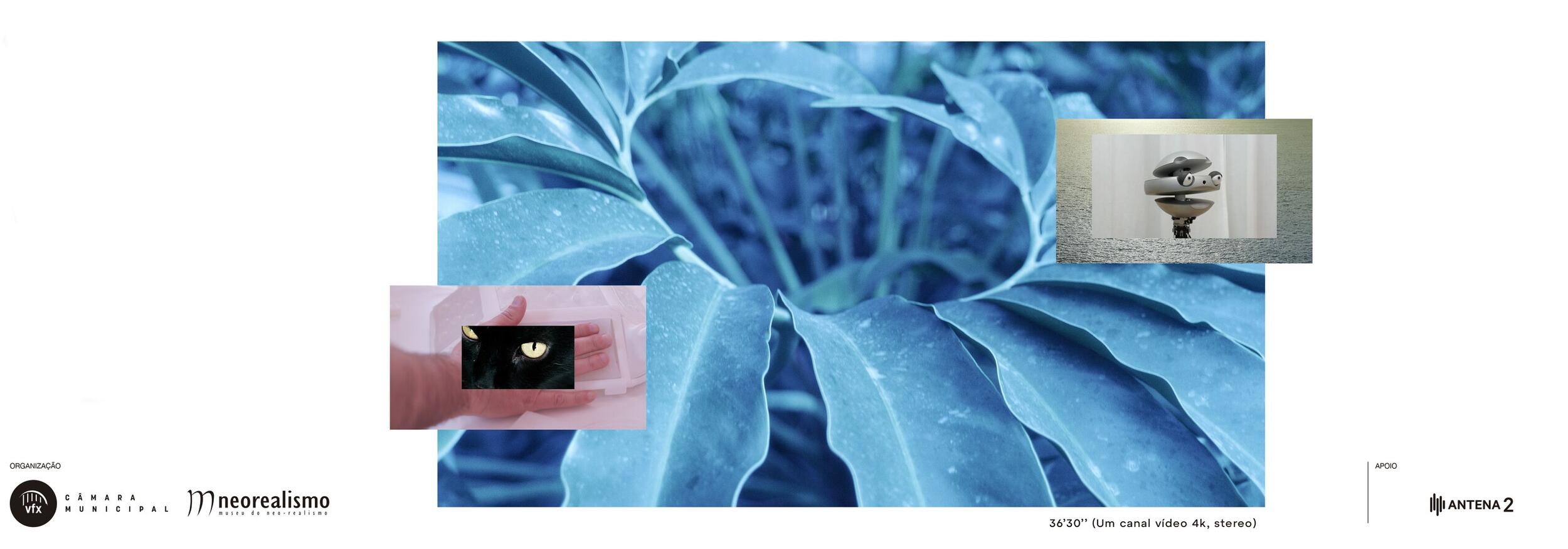 bannermnr_1136x389px