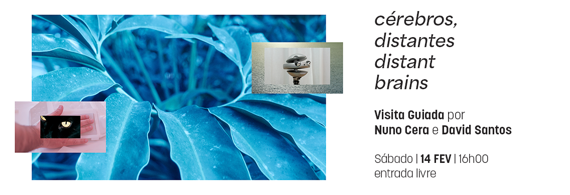 2026_02_14_cerebros_distantes___visita_guiada_1136x389